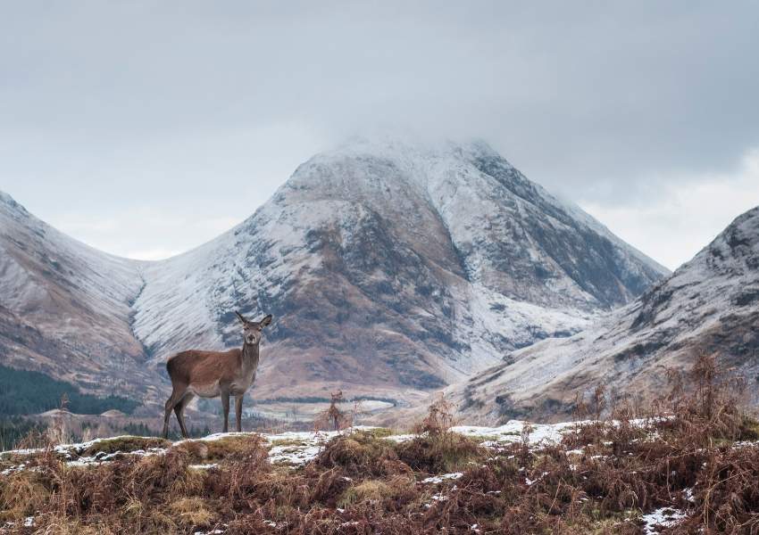 Glen Etive in winter