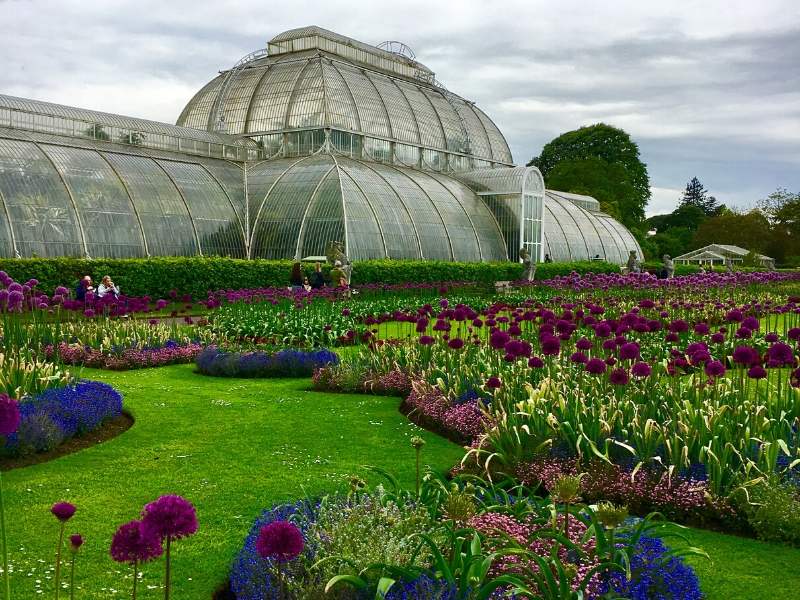 The palm house at Kew Gardens