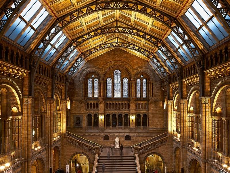 The entrance to the Natural History Museum in London showing a staircase and vaulted ceiling