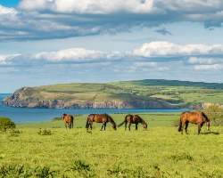 Pembrokeshire coast in wales