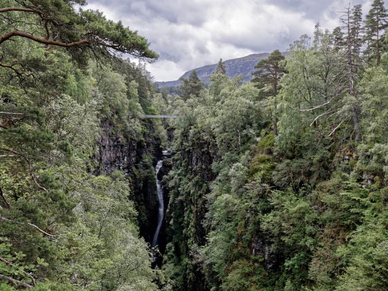 A green forest with a waterfall