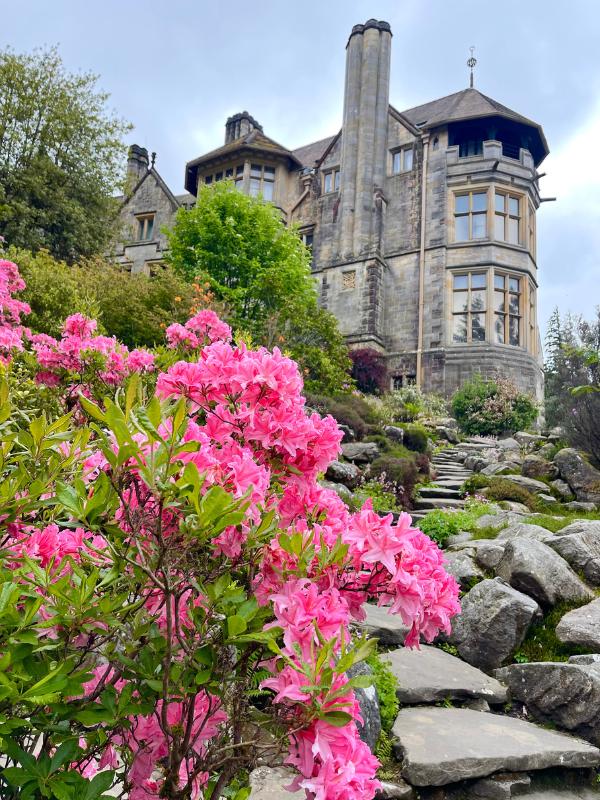 A stately home with pink flowers.