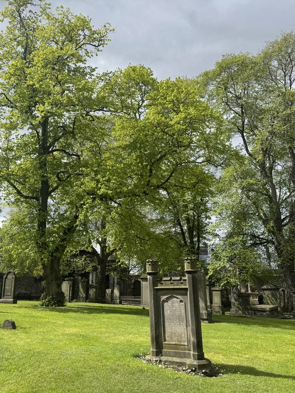 Gravestones and trees in Greyfriars Kirkyard, Edinburgh