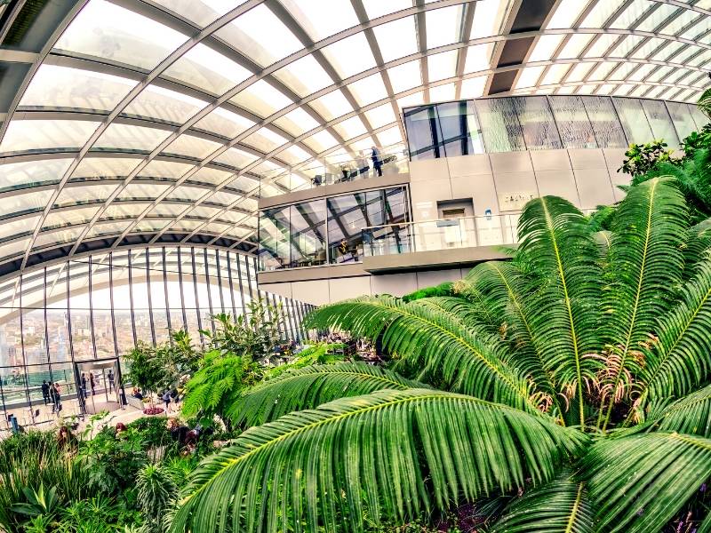 A view of the inside of the Sky Garden in London a great budget London option for visitors as it is free
