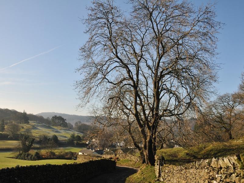 Near Sawrey in the Lake District