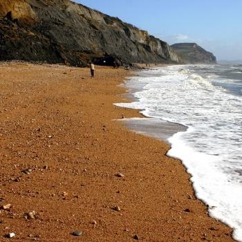 Charmouth Beach in Dorset Jurassic Coast