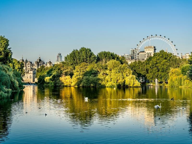 A view of the London Eye from St James's Park in London which can be seen from some hotels in Westminster.