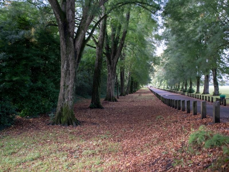 Bute Park Cardiff.