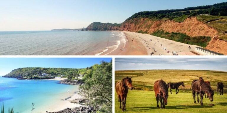 15 Best places to stay in Devon (Location & Accommodation Guide)