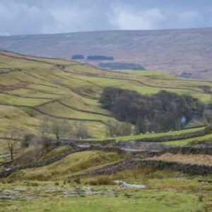 Yorkshire visual data 8