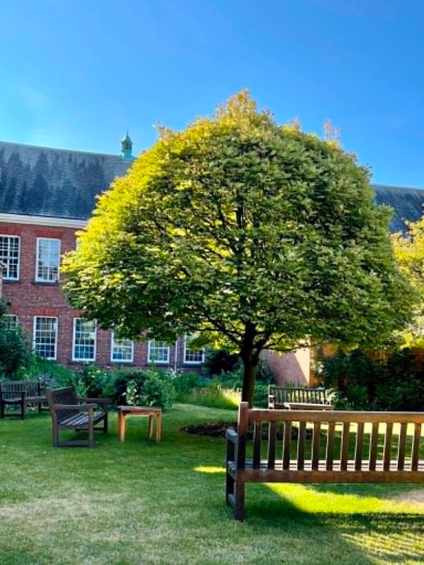 The walled garden with benches at the Bar Convent, York