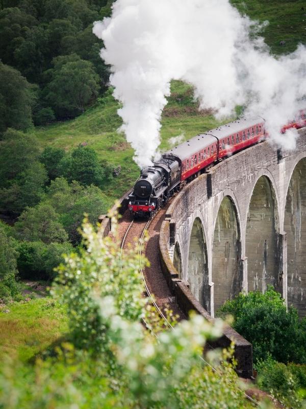 The Jacobite steam train.