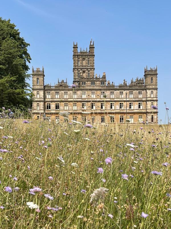 Downton Abbey wildflowers