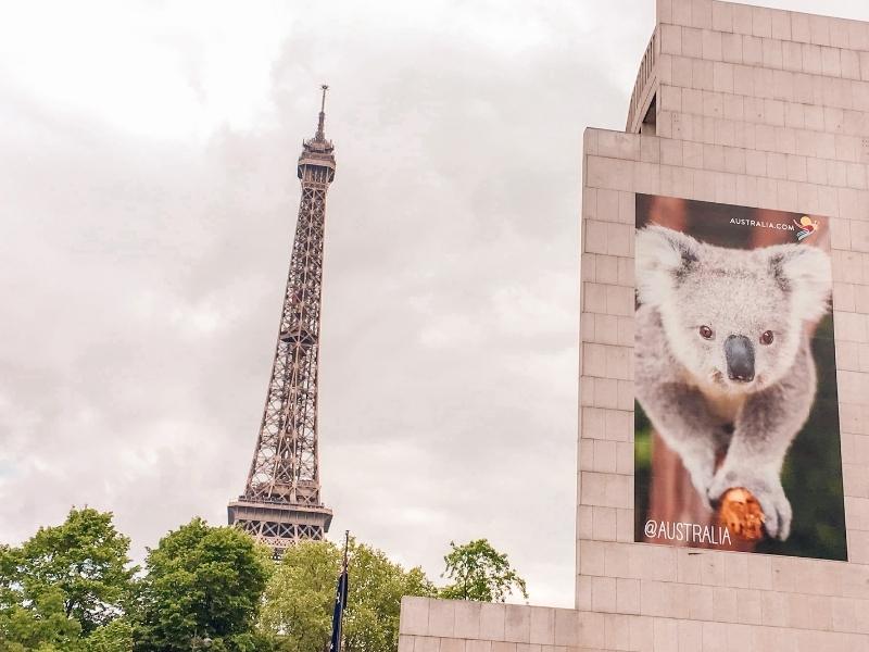 Eiffel Tower with a poster of a koala on a wall.