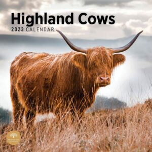 Highland Cows 2023 Calendar