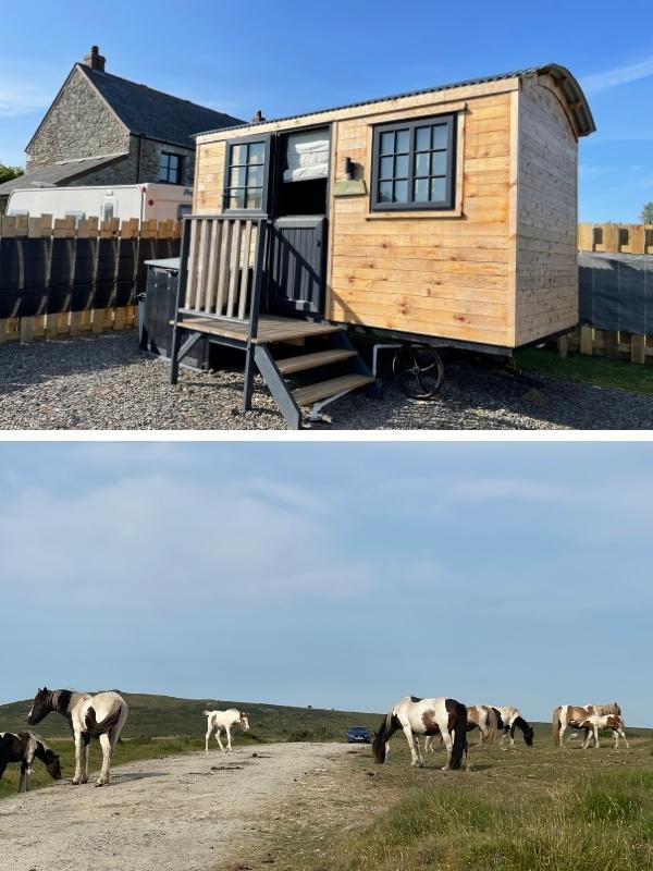 Episode 21 features the shepherd's hut on Bodmin Moor where you can also see wild ponies.