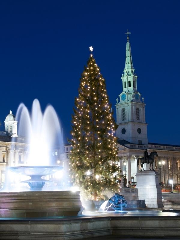 The best Christmas lights in London include the famous Christmas tree that is erected in Trafalgar Square each year.