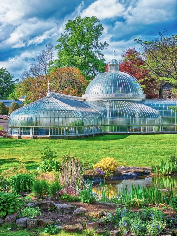 Glasgow Botanic Gardens.