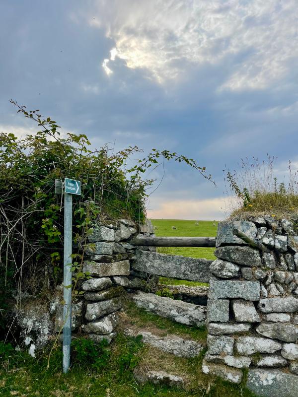 Gate on Bodmin Moor.
