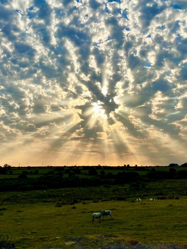 Bodmin Moor 3