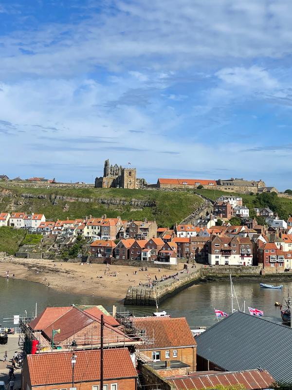 Whitby Travel Guide view over Whitby.
