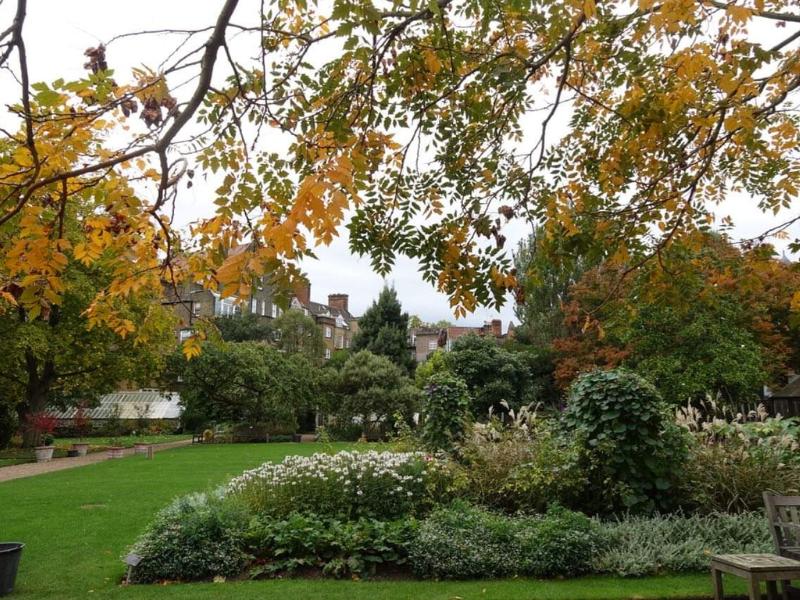 Chelsea Physic Garden.