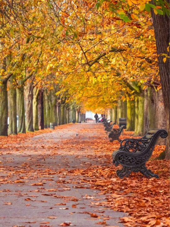 London in Fall All To Know About Visiting London in Autumn