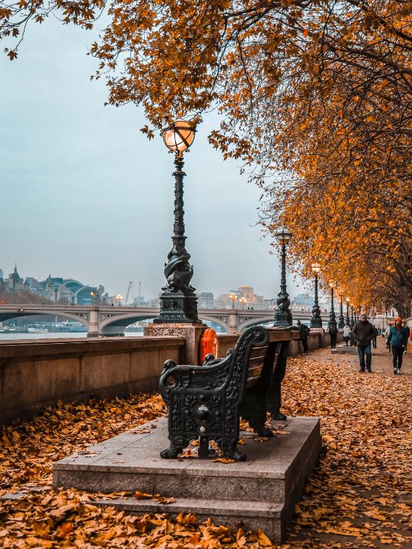 London in Autumn with the beautiful autumn leaves.