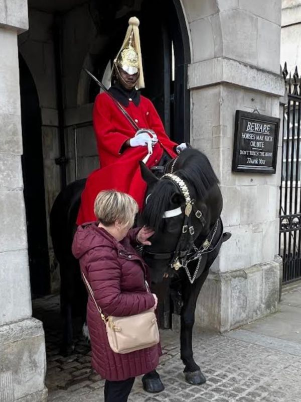 Deb and the horse in London