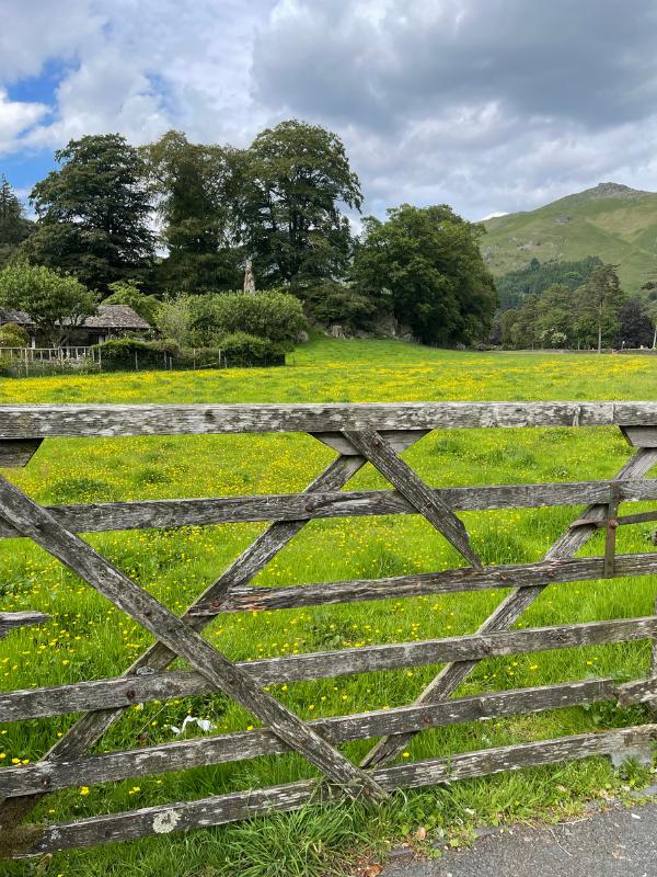 Lake District field