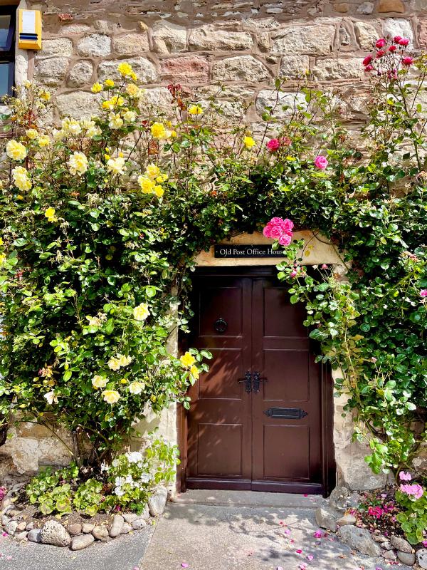 Beautiful wall and flowers at Holy Island