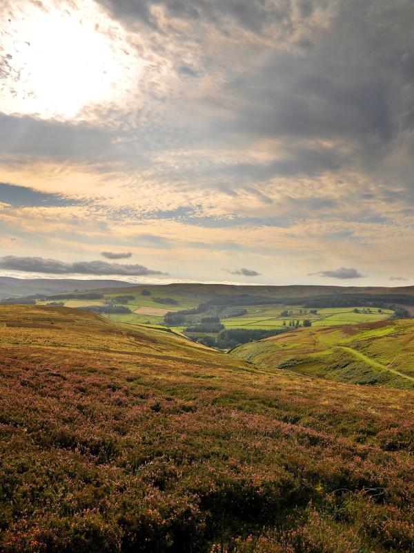 Visit County Durham