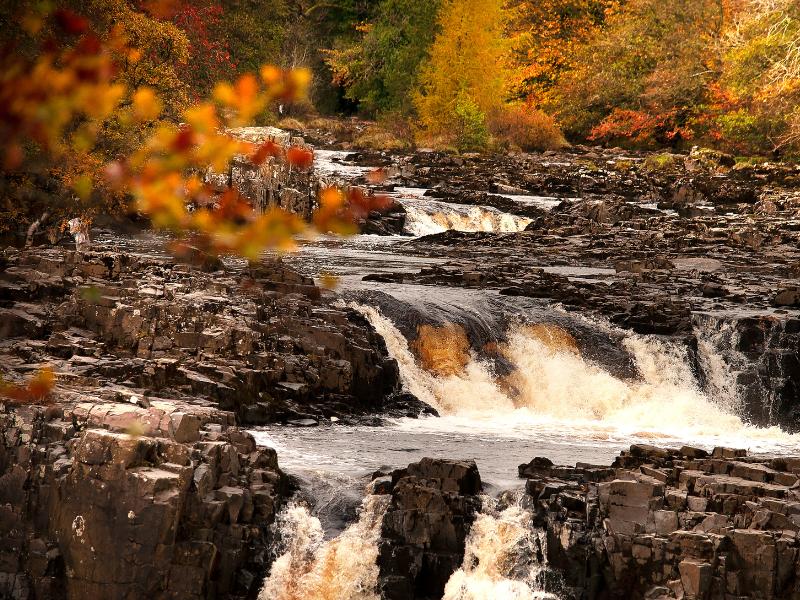 Low Force