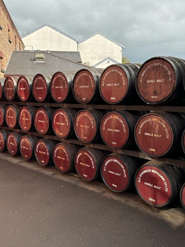 Busmills Distillery barrels