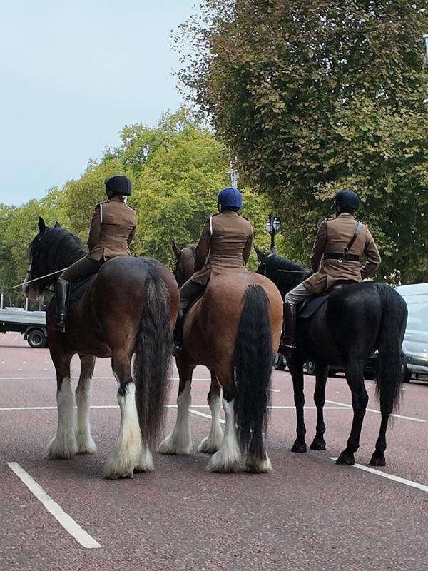 Horses on Mall