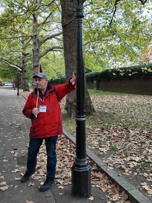 Robin and that Lamppost