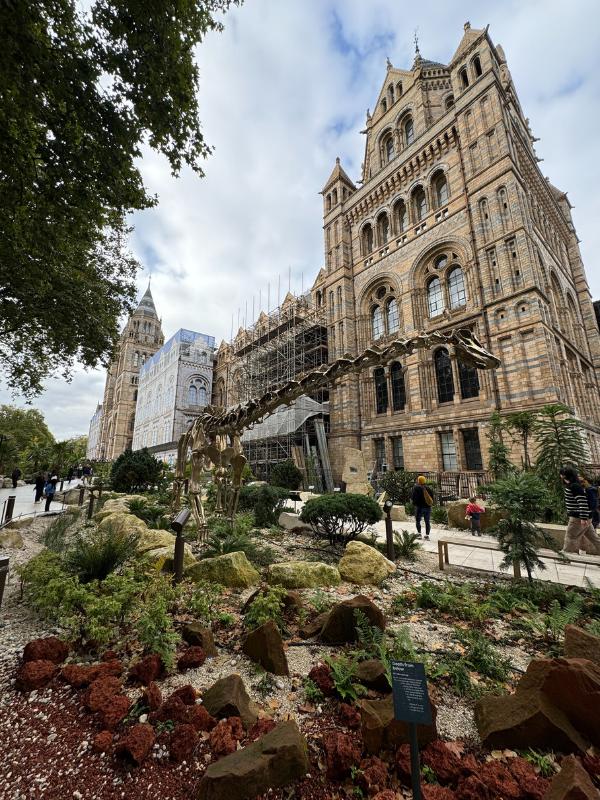 Esqueleto de dinosaurio fuera del Museo de Historia Natural en South Kensington, Londres