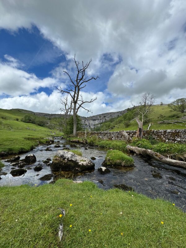 Arroyo de la cala de Malham