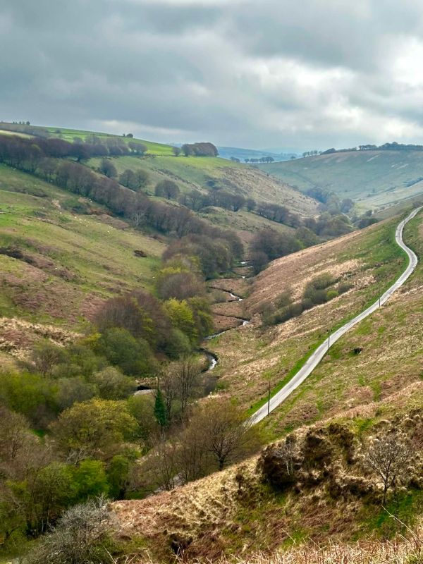 A quiet road winding through a green Exmoor valley