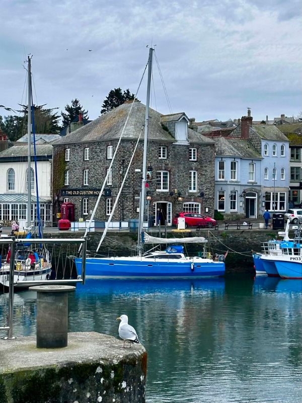 Boats moored in Padstow harbour with the Old Custom House and a seagull on the quay