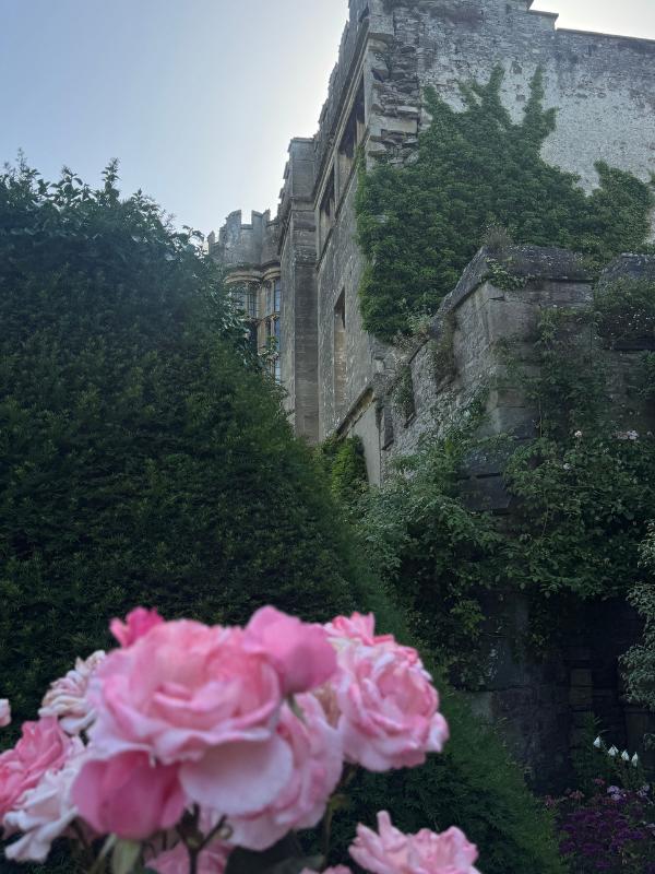 thornbury castle tower with roses