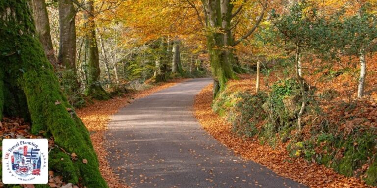 Autumnal colours on a country lane in Ashcombe Devon by Alex Graeme