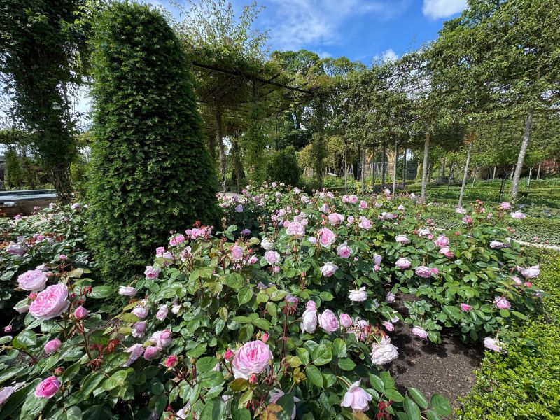 The Alnwick Garden